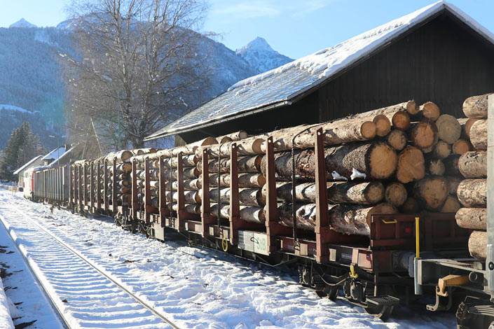Schadholztransport