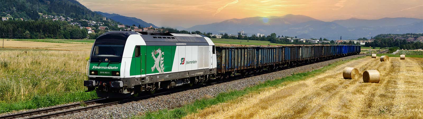 Testzug Schadholztransport